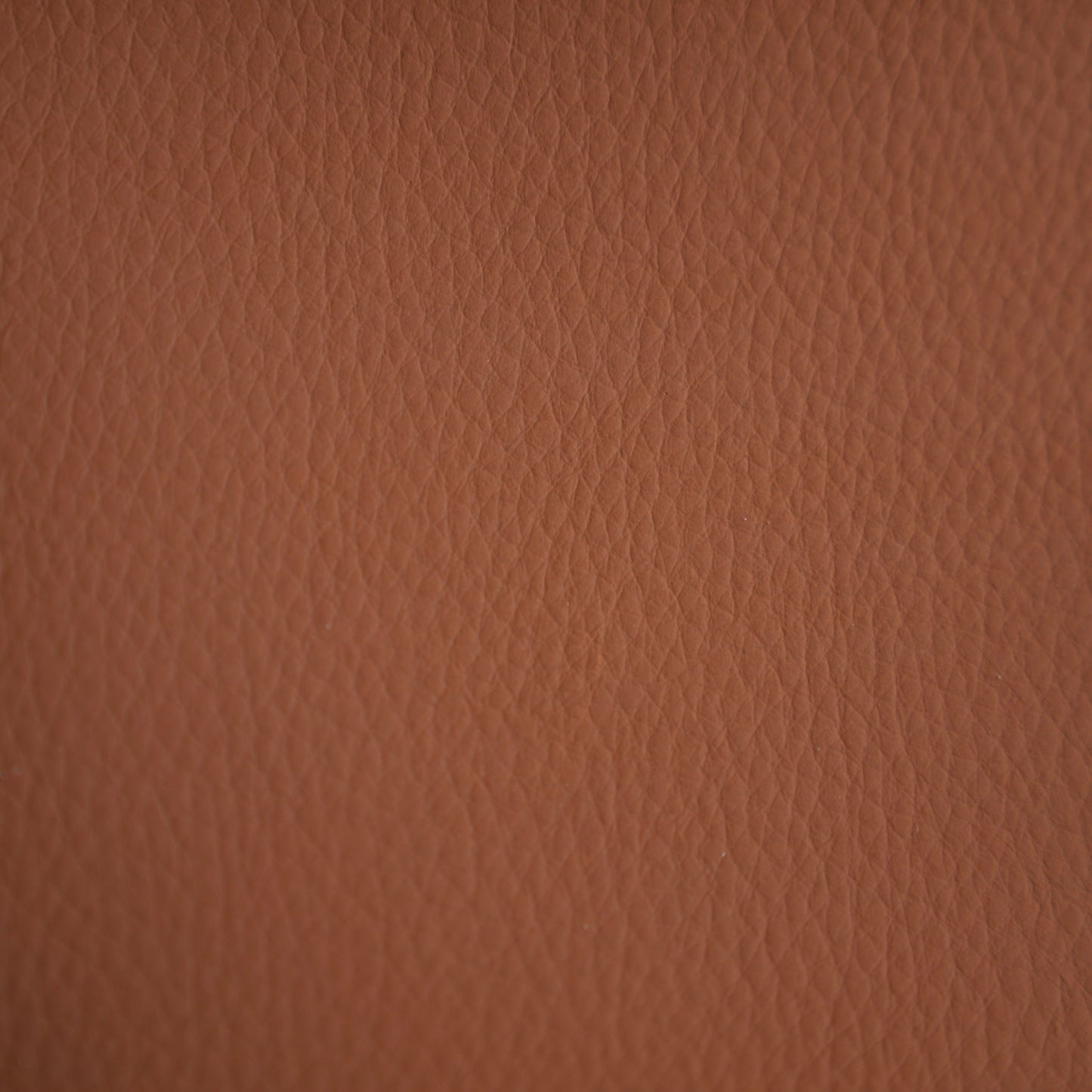 Brown Soil EGL-23